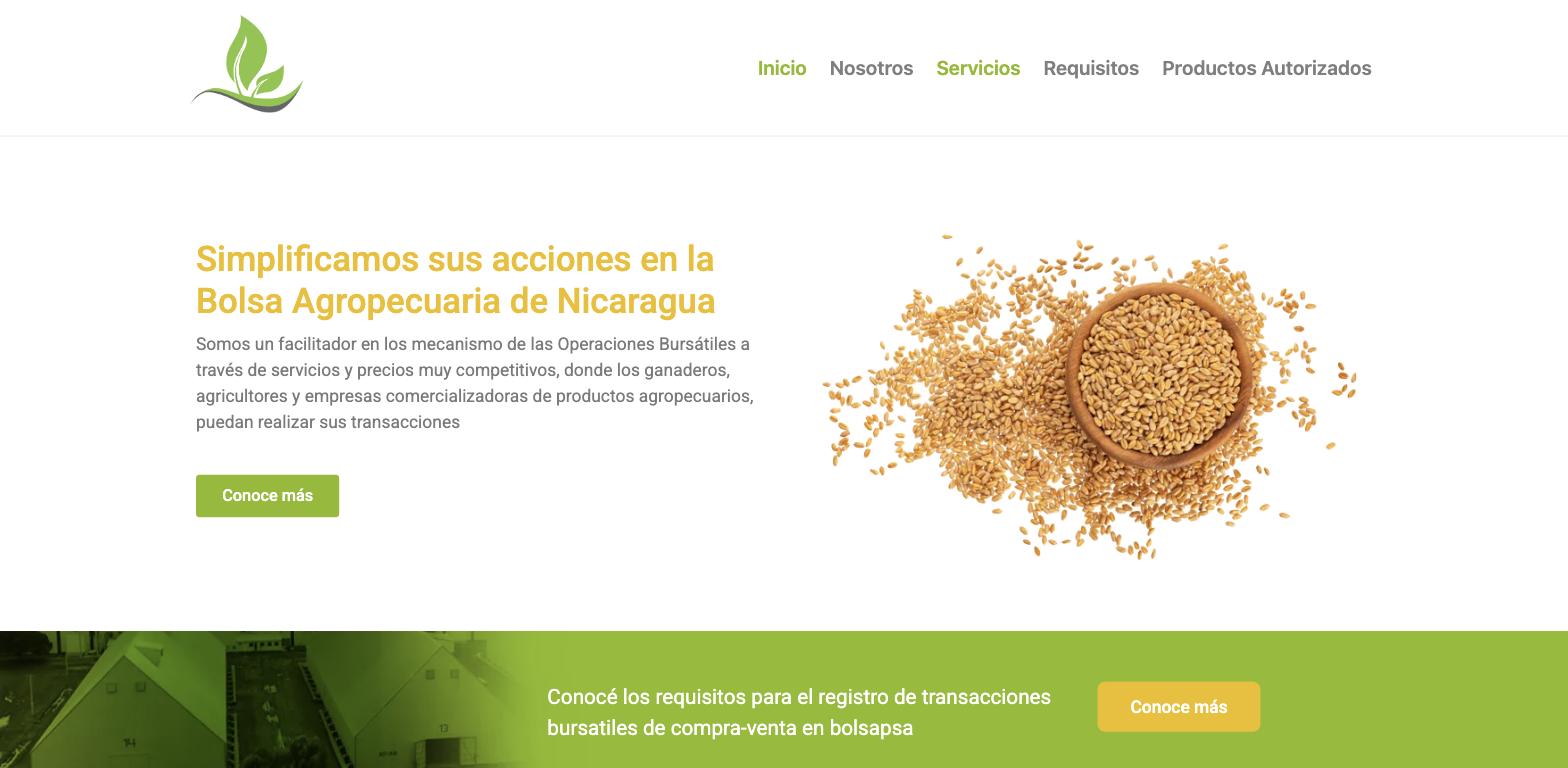 Captura de pantalla del sitio web Bolsapsa